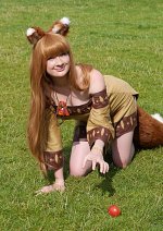 Cosplay-Cover: Horo- braunes Kleid