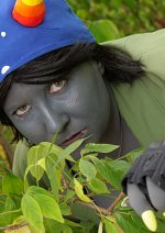 Cosplay-Cover: Nepeta Leijon