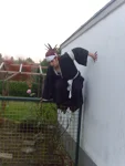 Foto des Kostüms