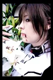 Top-3-Foto - von Hotaru