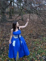 Cosplay-Cover: TARDIS