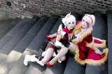 Top-3-Foto - von Ribbit