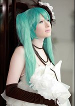 Cosplay-Cover: Hatsune Miku ❀ Camellia Japonica ❀