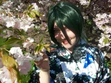Top-3-Foto - von CandySheep