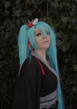 Cosplay-Cover: Miku [hakaokuri no uta] - 初音ミク