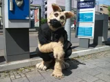 Top-3-Foto - von _Hige_
