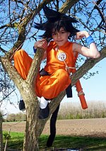 Cosplay-Cover: Son Goku