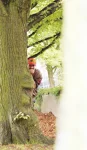 Foto des Kostüms