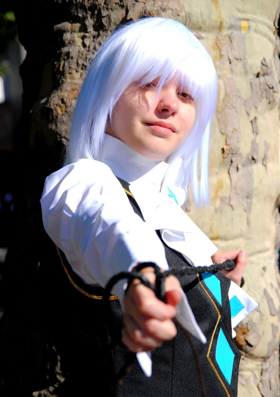 Cosplay-Cover: Franziska von Karma