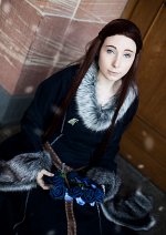 Cosplay-Cover: Lyanna Stark of Winterfell