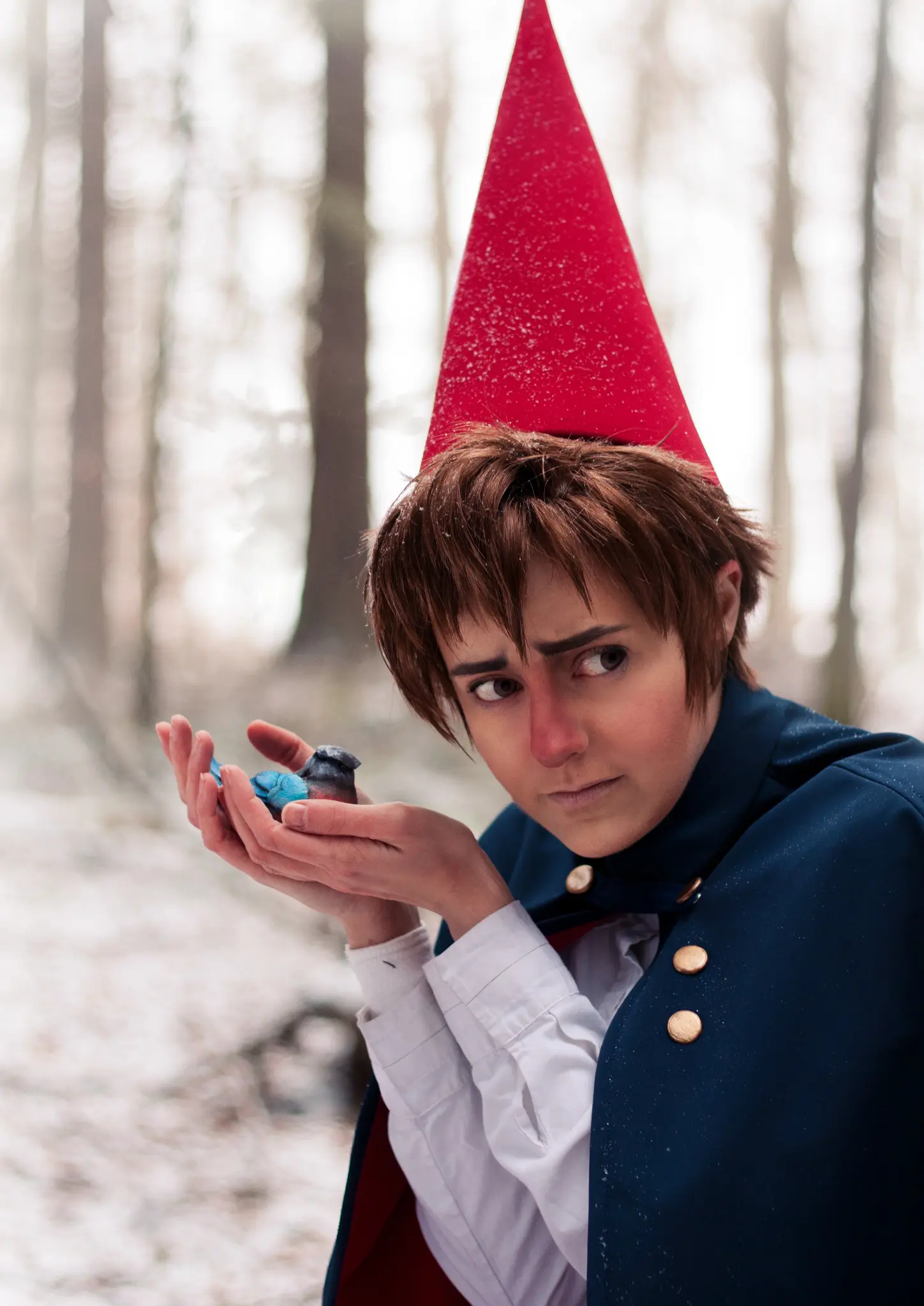 Cosplay-Cover: Wirt