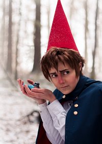 Cosplay-Cover: Wirt