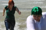 Top-3-Foto - von Sanko