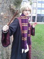 Cosplay-Cover: Alfred - Gryffindor FA