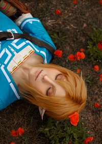 Cosplay-Cover: Link [botw]