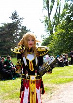 Cosplay-Cover: Paladin, Blutelfe