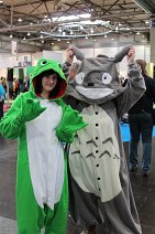 Cosplay-Cover: Frosch