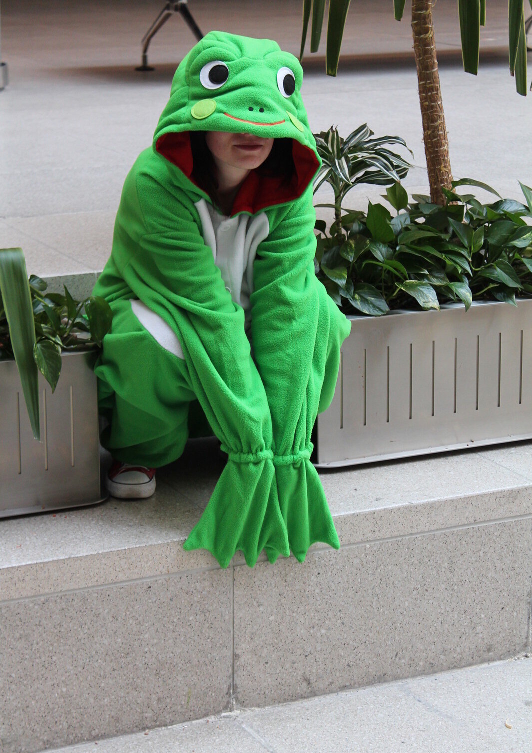 Cosplay-Cover: Frosch