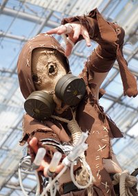 Cosplay-Cover: Scarecrow