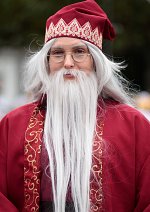 Cosplay-Cover: Albus Percival Wulfric Brian Dumbledore