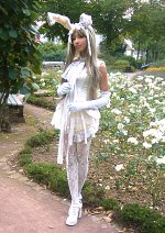 Cosplay-Cover: White Rabbit