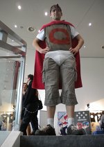 Cosplay-Cover: Quailman