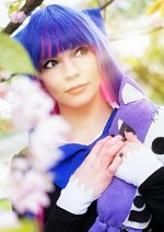 Cosplay-Cover: Stocking Anarchy