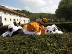 Foto des Kostüms