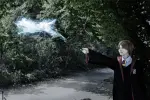 Cosplay-Cover: Ron Weasley