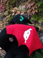 Cosplay-Cover: Toothless / Ohnezahn