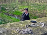 Top-3-Foto - von Schmusejacke