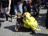 Top-3-Foto - von ELMO_1