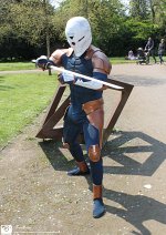 Cosplay-Cover: Gray Fox