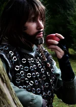 Cosplay-Cover: Tristan (King Arthur)