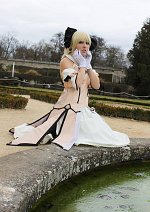 Cosplay-Cover: Saber Lily