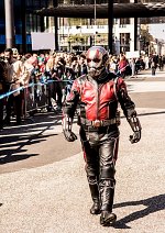 Cosplay-Cover: Ant-Man (Film 2015)