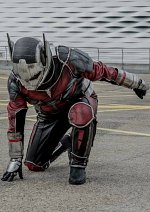 Cosplay-Cover: Ant-Man aus First Avenger - "Civil War"