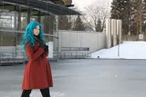 Top-3-Foto - von Okami-kiba