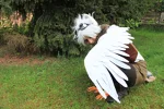 Foto des Kostüms