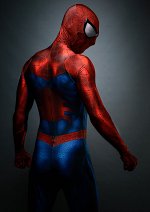 Cosplay-Cover: Spider-Man