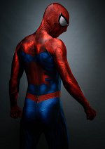 Cosplay-Cover: Spider-Man