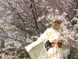 Top-3-Foto - von risakura
