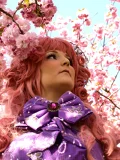 Top-3-Foto - von risakura