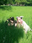 Foto des Kostüms