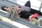 Cosplay-Cover: Hayato Gokudera [Album RED]