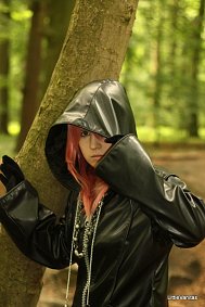 Cosplay-Cover: Marluxia (Kutte)