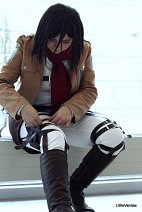 Cosplay-Cover: Mikasa Ackerman (Scouting Legion)