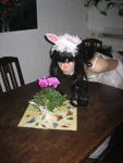Foto des Kostüms