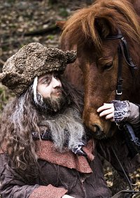 Cosplay-Cover: Radagast