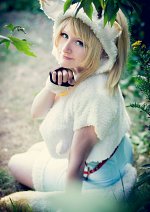 Cosplay-Cover: Eli Ayase [The Fox